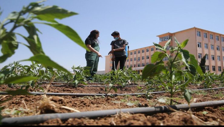 Deprem bölgesine “Sosyal Zincir” projesi