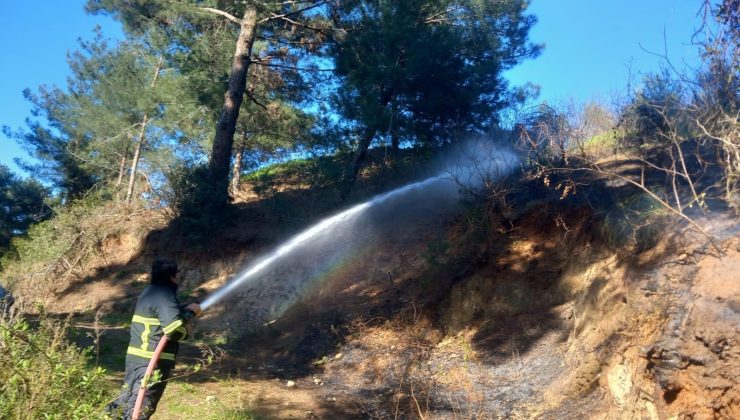 Belen’de çıkan yangın söndürüldü