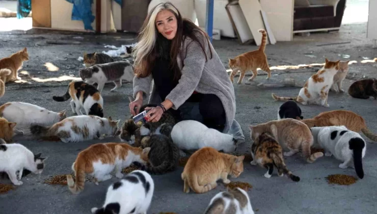 Depremin Vurduğu Hatay’da Sokak Hayvanlarına Destek