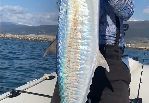 Amatör balıkçının yüzü oltasına takılan 8 buçuk kiloluk balıkla güldü