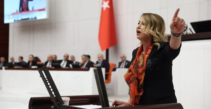 CHP’li Yıldırım Kara’dan bütçe çarpıcı açıklaması…